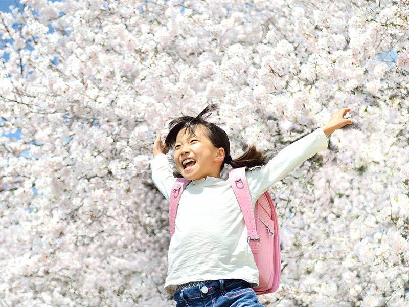 小学高学年、中学・高校の勉強へとつながります